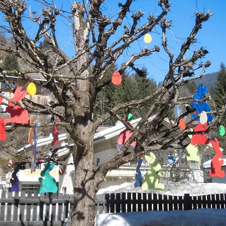 Anna Apartman Viehhofen