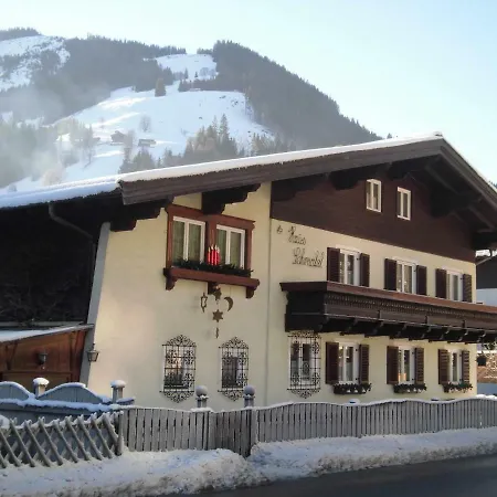 Anna Apartment Viehhofen